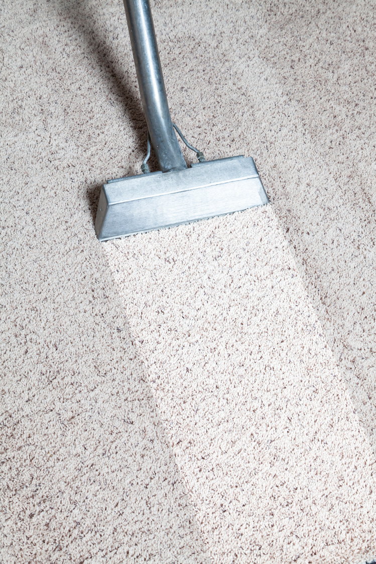 Carpet Cleaning